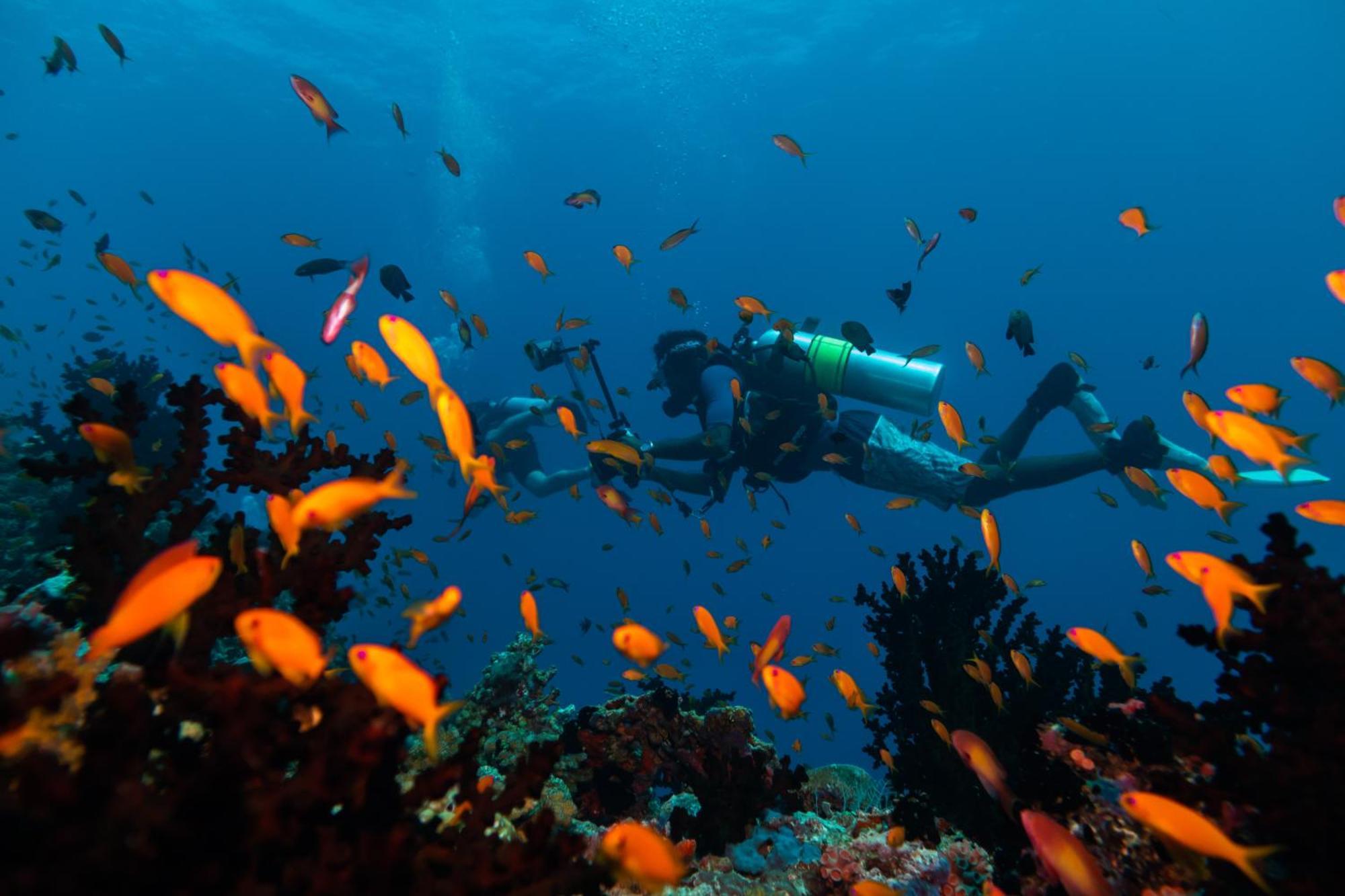 Mӧvenpick Resort Kuredhivaru Maldives Dış mekan fotoğraf